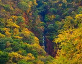  the route 